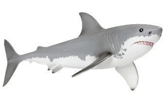 Podstawa Artrovex to shark tłuszcz, który jest znany z właściwościami regenerującymi